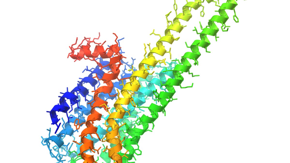 Receptor protein structure model illustrating the class-B receptors a quad agonist engages — a RetaQuad monograph by Panacea Bio Chem and Bogdan Dicoias